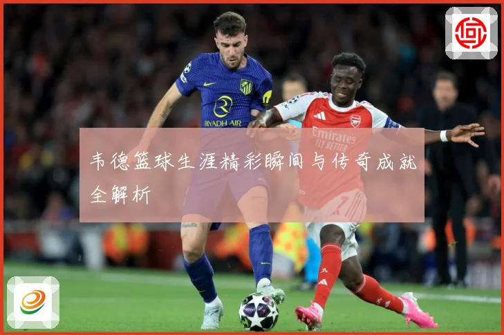 韦德篮球生涯精彩瞬间与传奇成就全解析